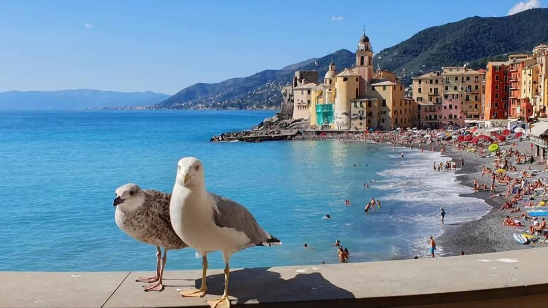 Appartement La Casa Di Malu -5min Centro-acquario Free Wifi Genua